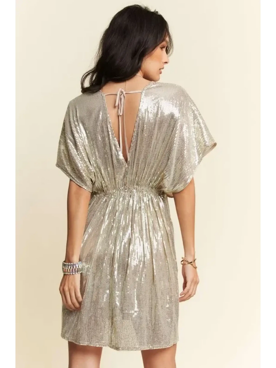 Stylish Sequin Plunge Neck Dress - Affordable Beach Fashion 2025 - Beach Babes Beachwear - Fort Lauderdale