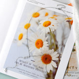 Babe Beachwaer 1.3 carat drop necklace displayed on floral background with white daisies